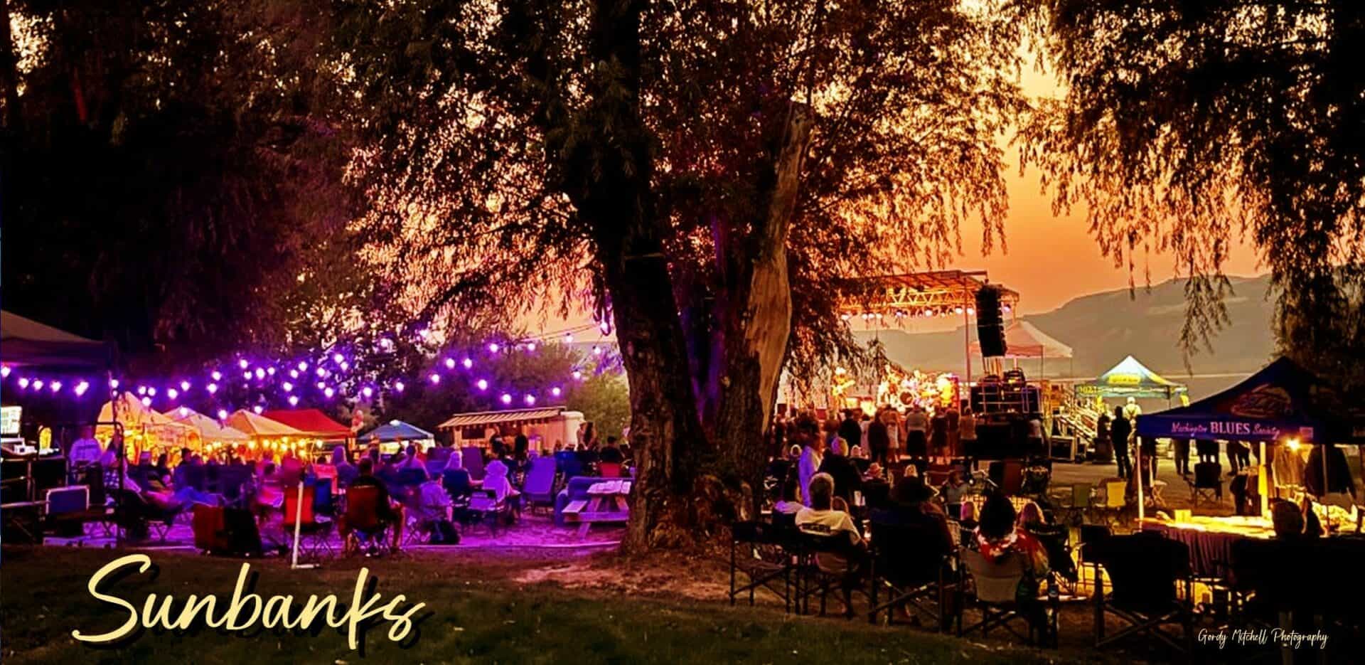 Sunbanks musicfest banner 2025